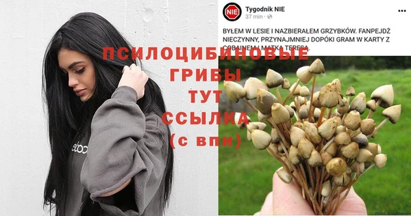 соль курить ск Арсеньев