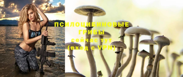 соль ск Аркадак