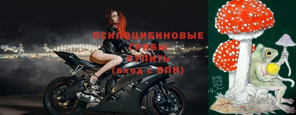 ECSTASY Кукмор